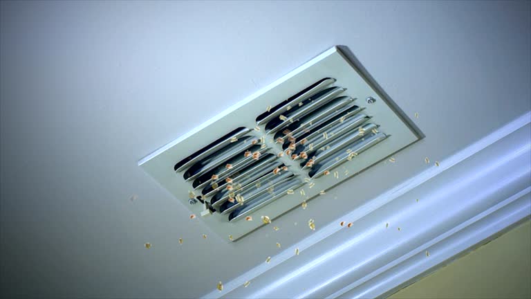 Best Best Air Duct Cleaning Company  in Lemont, PA