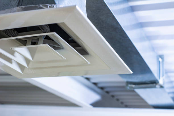 Air Duct Mold Removal in Lemont, PA