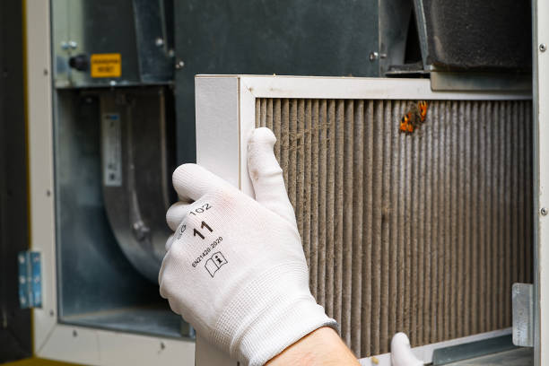 Best Air Duct Mold Removal  in Lemont, PA
